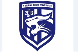 武漢足管中心主任：武漢三鎮(zhèn)正推進(jìn)股改事宜，已做好凈資調(diào)查工作