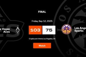 王牌大勝火花 以16連勝結(jié)束本賽季常規(guī)賽征程！