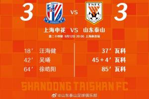 雖然我們沒有在上海帶走勝利，但是充分展示了什么是泰山隊精神！