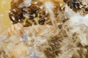 成功拿下總冠軍后，大家在更衣室用一場特別的狂歡慶祝榮耀時刻！