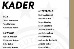 德國名單：沃爾特馬德、維爾茨領(lǐng)銜 基米希、努貝爾在列 薩內(nèi)落選