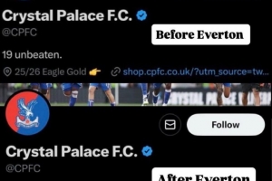 遭埃弗頓逆轉(zhuǎn)絕殺，水晶宮官推刪除連續(xù)19場(chǎng)不敗的介紹