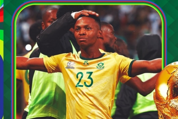 世界杯已定23席：南非晉級世界杯，非洲區(qū)僅剩2席