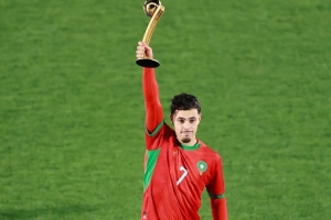 世青賽獎(jiǎng)項(xiàng)：瑪瑪金球、扎比里銀球、德?tīng)柤佣嚆~球，巴比金手套