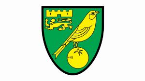 福利多多！諾維奇宣布招聘財(cái)務(wù)會(huì)計(jì)師，要求積極主動(dòng)、善于分析