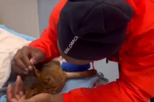 巴舒亞伊深情告別因車禍離世的愛貓：安息吧，我的兒子