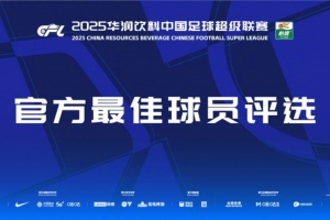 中超官方第28輪最佳候選：瓦科、薩里奇、恩里克、戴維森、亞戈