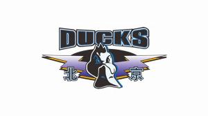 直播吧：北京首鋼男籃新賽季的主場(chǎng)有望回歸五棵松