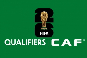 世預(yù)賽非洲區(qū)附加賽：尼日利亞對(duì)加蓬，喀麥隆對(duì)民主剛果