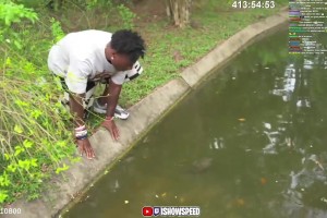 抽象！甲亢哥對著水溝里的烏龜竟然大喊“姆巴佩！”