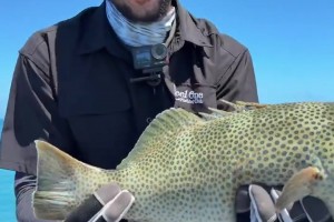 休賽期垂釣高手??西蒙斯社媒曬海釣收獲！直言這回運(yùn)氣爆棚~