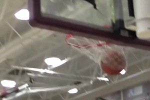 差點沒認出來！普爾和大球&三球第一次碰面，一個比一個風騷