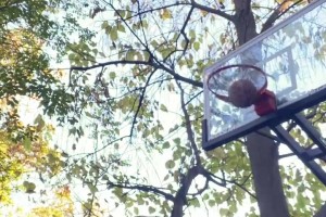 網(wǎng)紅惡搞當年的詹韋連線：不管韋德怎么扔，詹姆斯都能拿到！